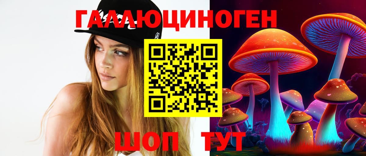 Улан-Удэ  Псилоцибиновые грибы Psilocybine cubensis  Вход с VPN 